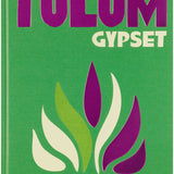 ASSOULINE Tulum Gypset